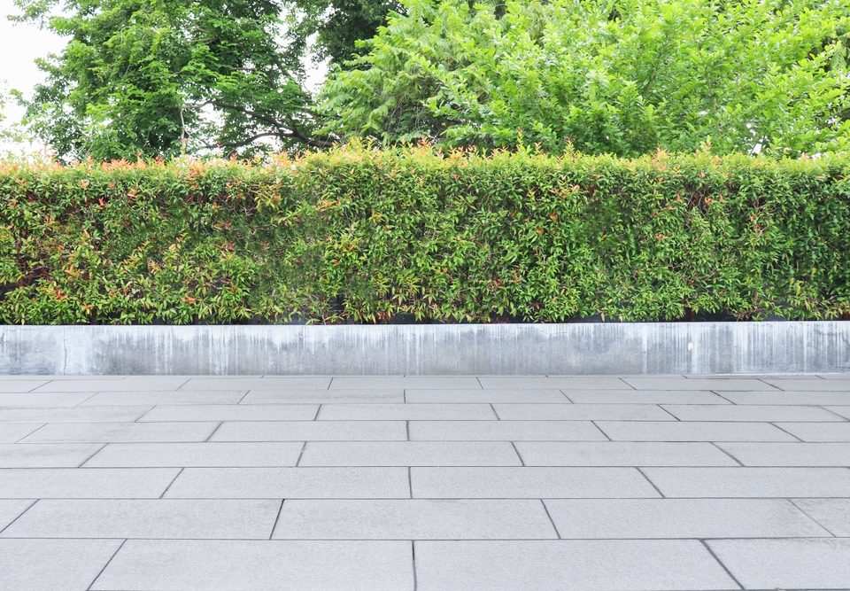 Garden, beautifully trimmed shrubs gray tile floor Multipurpose yard Suitable for a walk or picnic.