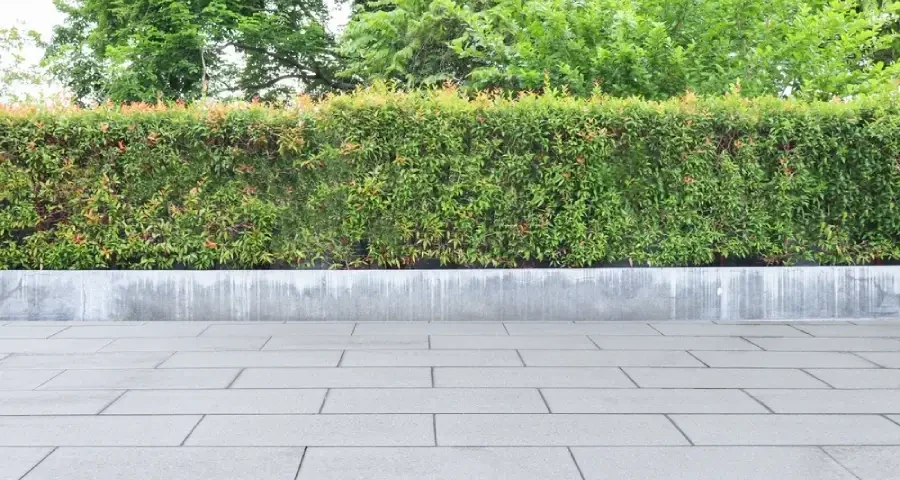 Garden, beautifully trimmed shrubs gray tile floor Multipurpose yard Suitable for a walk or picnic.